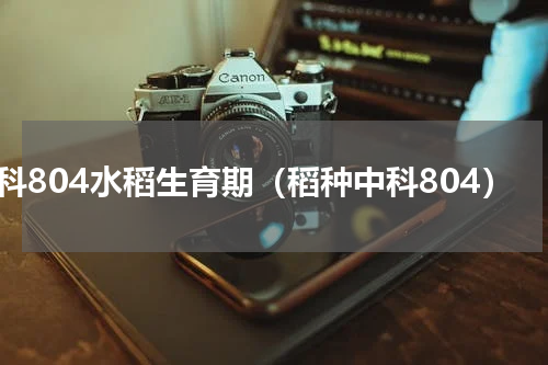 中科804水稻生育期（稻种中科804）
