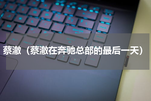 蔡澈（蔡澈在奔驰总部的最后一天）