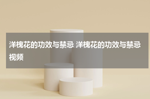 洋槐花的功效与禁忌 洋槐花的功效与禁忌视频