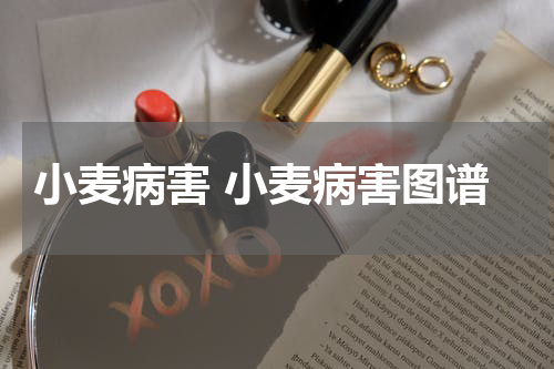 小麦病害 小麦病害图谱