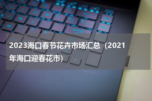 2023海口春节花卉市场汇总（2021年海口迎春花市）
