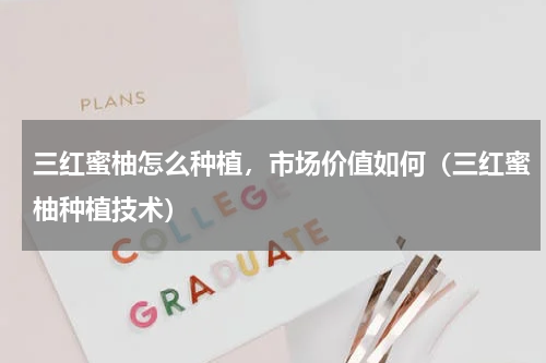 三红蜜柚怎么种植，市场价值如何（三红蜜柚种植技术）