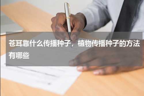 苍耳靠什么传播种子，植物传播种子的方法有哪些