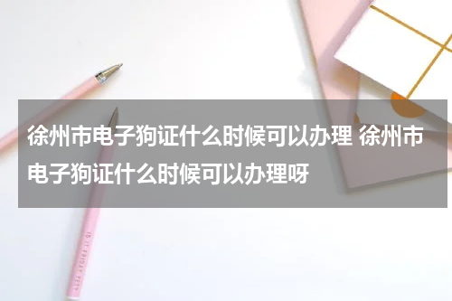 徐州市电子狗证什么时候可以办理 徐州市电子狗证什么时候可以办理呀