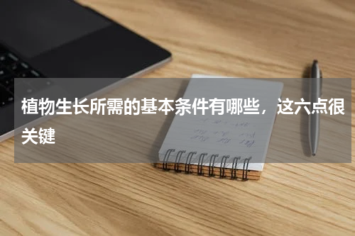 植物生长所需的基本条件有哪些，这六点很关键