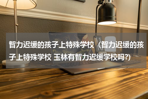 智力迟缓的孩子上特殊学校（智力迟缓的孩子上特殊学校 玉林有智力迟缓学校吗?）