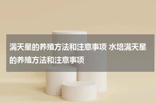 满天星的养殖方法和注意事项 水培满天星的养殖方法和注意事项