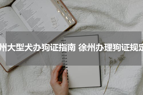 徐州大型犬办狗证指南 徐州办理狗证规定