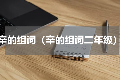 辛的组词（辛的组词二年级）