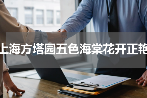 上海方塔园五色海棠花开正艳