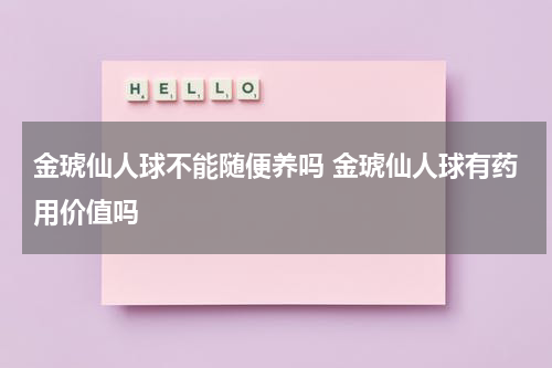 金琥仙人球不能随便养吗 金琥仙人球有药用价值吗