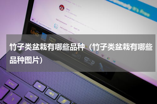 竹子类盆栽有哪些品种（竹子类盆栽有哪些品种图片）