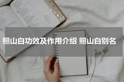 照山白功效及作用介绍 照山白别名