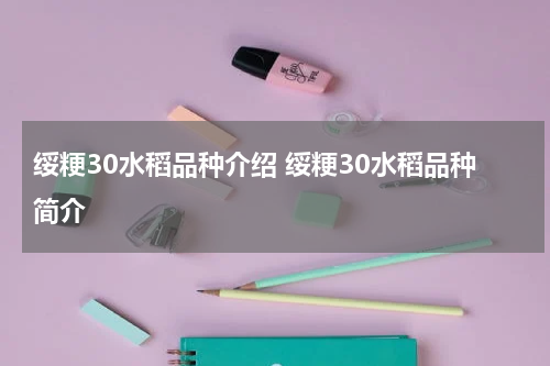 绥粳30水稻品种介绍 绥粳30水稻品种简介
