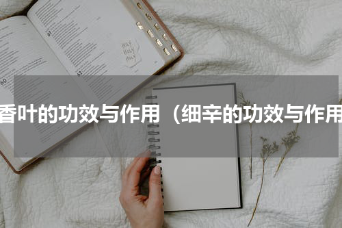 丁香叶的功效与作用（细辛的功效与作用）