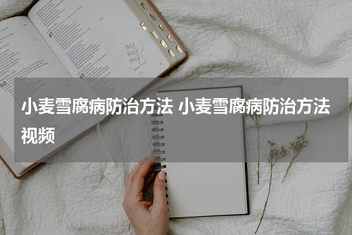 小麦雪腐病防治方法 小麦雪腐病防治方法视频