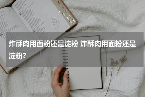 炸酥肉用面粉还是淀粉 炸酥肉用面粉还是淀粉?