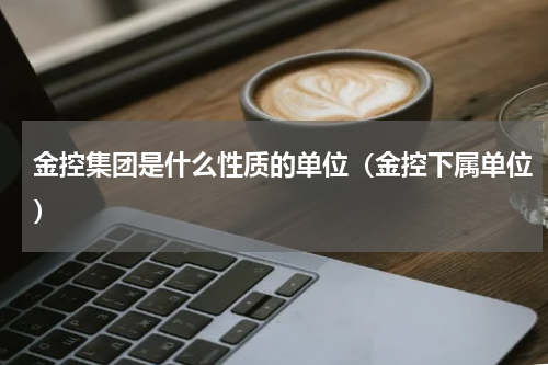 金控集团是什么性质的单位（金控下属单位）