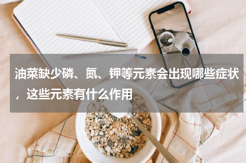 油菜缺少磷、氮、钾等元素会出现哪些症状，这些元素有什么作用