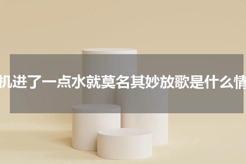 手机进了一点水就莫名其妙放歌是什么情况