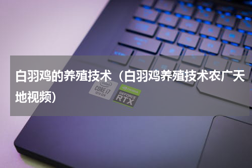 白羽鸡的养殖技术（白羽鸡养殖技术农广天地视频）