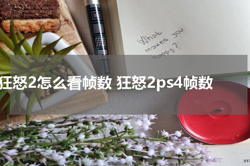 狂怒2怎么看帧数 狂怒2ps4帧数