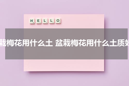盆栽梅花用什么土 盆栽梅花用什么土质好