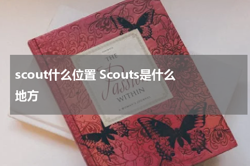 scout什么位置 Scouts是什么地方