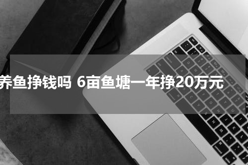 养鱼挣钱吗 6亩鱼塘一年挣20万元