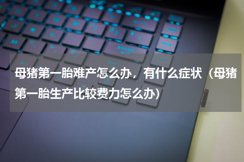 母猪第一胎难产怎么办，有什么症状（母猪第一胎生产比较费力怎么办）