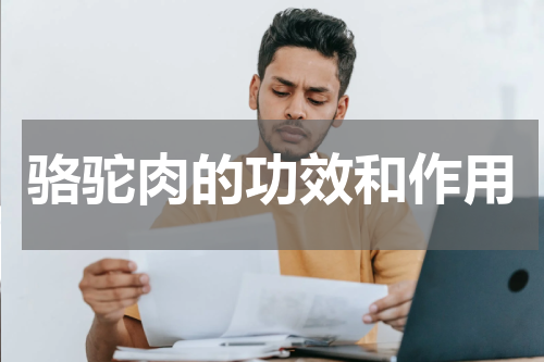 骆驼肉的功效和作用