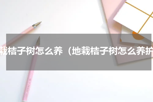 地栽桔子树怎么养（地栽桔子树怎么养护）