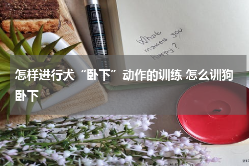 怎样进行犬“卧下”动作的训练 怎么训狗卧下