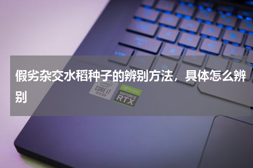 假劣杂交水稻种子的辨别方法，具体怎么辨别