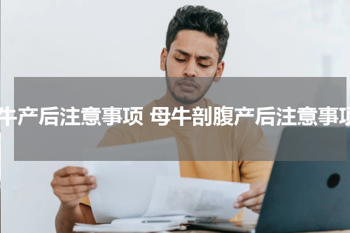 母牛产后注意事项 母牛剖腹产后注意事项