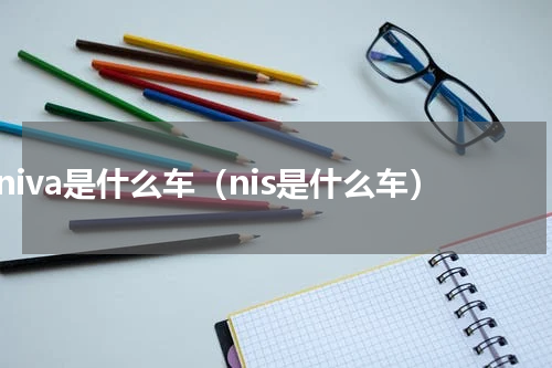 niva是什么车（nis是什么车）