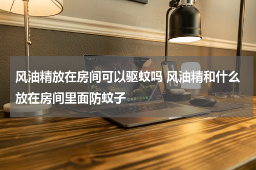 风油精放在房间可以驱蚊吗 风油精和什么放在房间里面防蚊子