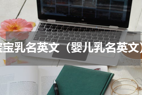 宝宝乳名英文（婴儿乳名英文）