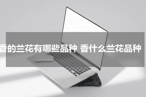 香的兰花有哪些品种 香什么兰花品种