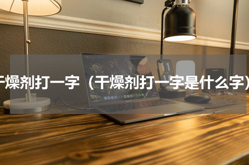 干燥剂打一字（干燥剂打一字是什么字）