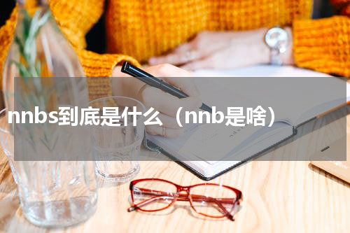 nnbs到底是什么（nnb是啥）