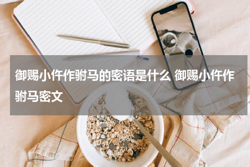 御赐小仵作驸马的密语是什么 御赐小仵作驸马密文