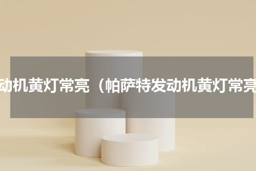 发动机黄灯常亮（帕萨特发动机黄灯常亮）
