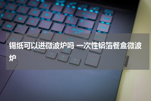 锡纸可以进微波炉吗 一次性铝箔餐盒微波炉