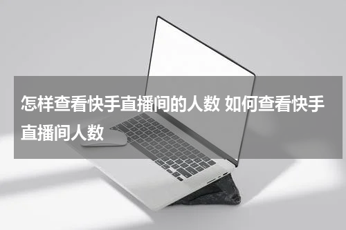 怎样查看快手直播间的人数 如何查看快手直播间人数