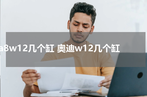 a8w12几个缸 奥迪w12几个缸
