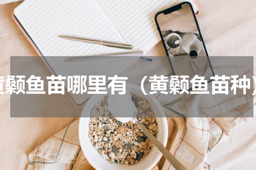 黄颡鱼苗哪里有（黄颡鱼苗种）