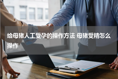 给母猪人工受孕的操作方法 母猪受精怎么操作
