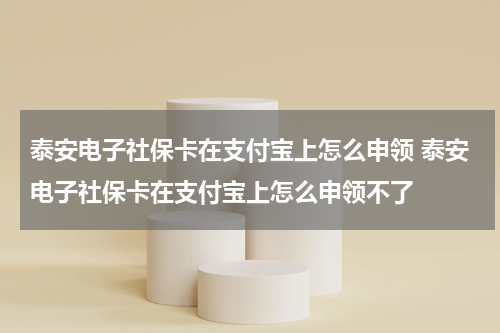 泰安电子社保卡在支付宝上怎么申领 泰安电子社保卡在支付宝上怎么申领不了