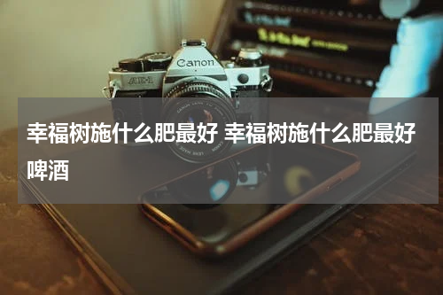 幸福树施什么肥最好 幸福树施什么肥最好啤酒